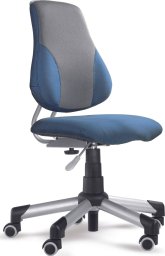 Mayer Mayer Ergonomiczne krzesło rosnące z dzieckiem Actikid A2 niebiesko/szare