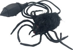 Pająk skaczący K260 45168