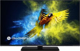 Telewizor GoGEN Telewizor Gogen 32” - TVF32M340STWEB