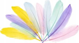 FANDY Piórka gęsie 15-20cm pastelowe