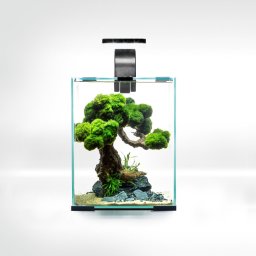 Triton AQUAEL Zestaw Aquael Shrimp Set Smart Day & Night [10l] - czarny