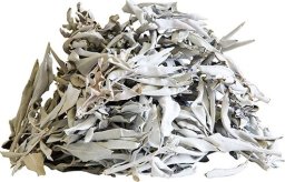 Neofarma Biała szałwia (Salvia Apina) jakość, I gatunek 10g