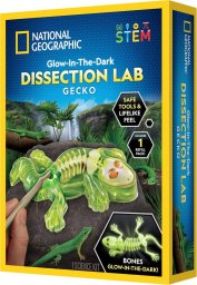National Geographic Gecko Dissection Lab