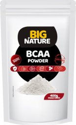 Big Nature Bcaa 2:1:1 Aminokwasy 400G Suplement Diety -