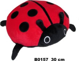 Sunday Biedronka 30cm