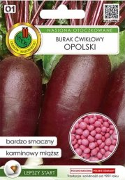 Apte Burak ćwikłowy Opolski 100 nasion odmiana plenna o doskonałym smaku
