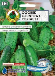 Apte Ogórek Portal F1 taśma 6m Średnio wczesna odmiana do konserwowania