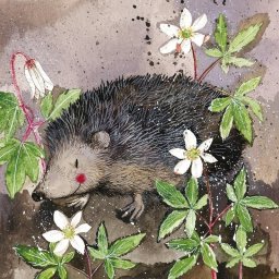 Teka Podkładka pod kubek C121 Jeż Prickly