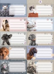 Beniamin Naklejki na zeszyty pasek The Sweet Pets