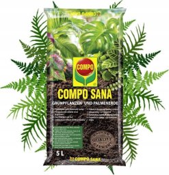 COMPO Compo Sana Podłoże do roślin zielonych i palm 5L Mieszanka torfu perlitu i dolomitu