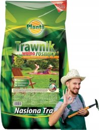 Planta Mieszanka Traw Gazonowych 5kg Wolnorosnący Trawnik
