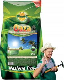 Planta Mieszanka traw gazonowych na tereny suche i piaszczyste 5kg Trawa oaza