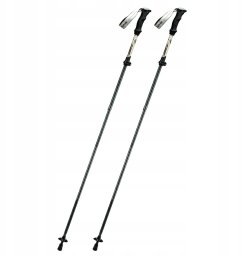 Static Control Kijki trekkingowe Qunature nordic walking aluminiowe 110 - 130 cm - brązowe