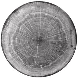 Bigbuy Home Woodart talerz płaski szary 24 cm
