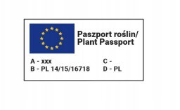 Seklos LT PLATINET NASIONA ASTER CHRYZANTEMOWY CALLISTEPHUS CHINENSIS SEEDS 1 G