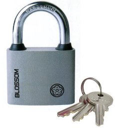 Blossom PADLOCK BC2963