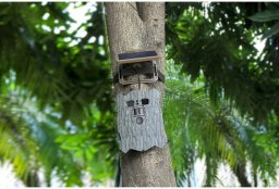 Kamera Genway Stealth Gear trail camera Owl Solar 4K