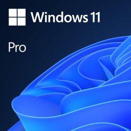 Windows 11 Pro Non-profit (DG7GMGF0D8H4:0003)