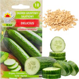 W1339 OGÓREK podłużny DELICIUS NASIONA OGÓRKA WARZYW SADZENIA SAŁATKOWA ODMIANA