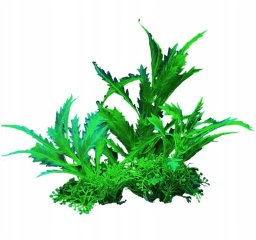 Terra Natura Aqua Natura, roślina do dekoracji akwarium, zielona, plastikowa, 12 cm, rozłożyste liście
