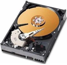 CoreParts 40GB 3,5 IDE 7200rpm, AHDD010