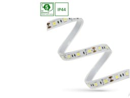 Taśma LED Spectrum LED PASEK LED 48W 5050 60LED WW 5 lat 1m (rolka 5m) - w silikonie