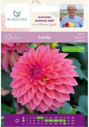 Legutko Dalia Candy łososiowa 1szt.