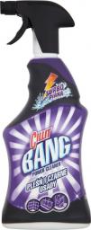Cillit Power Cleaner Pleśń i Czarne Osady 750ml