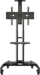 NB Stojak podłogowy AVA1500-60-1P 32'' - 65''