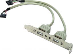 Gembird Śledź do obudowy 2x USB 2.0 (CC-USB-RECEPTACLE)