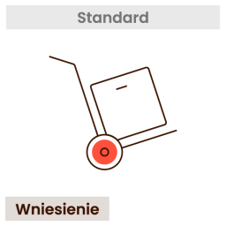 Wniesienie