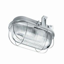Lena Lighting Oprawa Oval 100 klosz szklany bezbarwny osłona z siatki drucianej (100178)