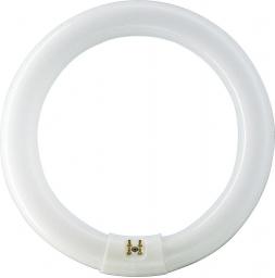 Świetlówka Philips Master TL-E Circular Super 80 kołowa G10q 32W 2375lm 3000K (8711500559685)