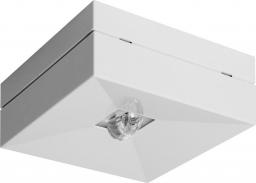 AWEX Oprawa awaryjna LED 1W 3h LOVATO N ECO LED 1W (opt. koryt.) jednozadaniowa biała LVNC/1W/ESE/X/WH - LVNC/1W/ESE/X/WH