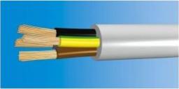 OWY 4X1mm2, 300/500V, biały (OWY4X1)
