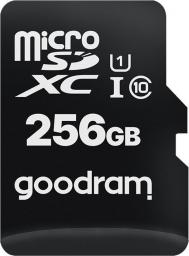 MicroSDXC 256 GB Class 10 UHS-I/U1 (M1AA-2560R12)