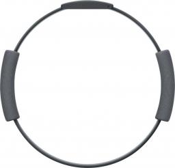 Nintendo Ring Fit Adventure Nintendo Switch
