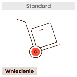  Wniesienie telewizora lub monitora 