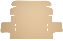 art. poleasingowy Hengst Karton automatyczny 495x166x104
