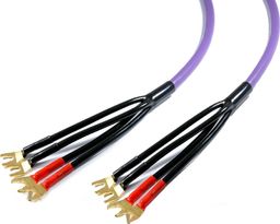 Kabel Melodika Widły - Widły 2.5m fioletowy