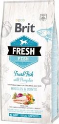 Brit Fresh Dog Adult Large Fish & Pumpkin 12kg