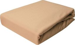 Darymex Prześcieradło Gumka Jersey 020_D Bawełna 60x120