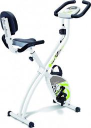 Rower stacjonarny BH Fitness treningowy magnetyczny Back Fit YF91