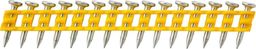 Dewalt DEWALT GWOŹDZIE DCN890 STD 2,6 x 55mm /510szt. DCN8901055