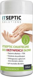 E5 Wilgotne chusteczki do dezynfekcji dłoni 100 sztuk
