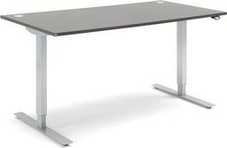 Biurko ECOabc Flexus Szare 160 cm x 80 cm