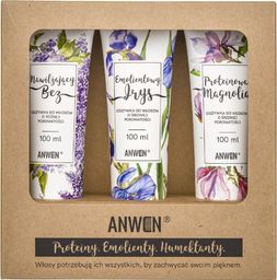Anwen Zestaw 3 odżywek do średniej porowatości - 100 ml (ANW-201)