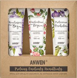 Anwen Zestaw 3 odżywek do wysokiej porowatości - 100 ml (ANW-195)