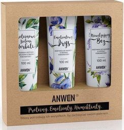 Anwen - Zestaw 3 Odżywek do porowatości średniej - 3x 300 ml uniwersalny