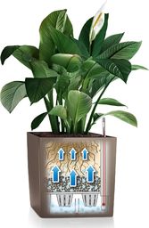 Lechuza DONICA LECHUZA CUBE PREMIUM 50 ANTRACYT